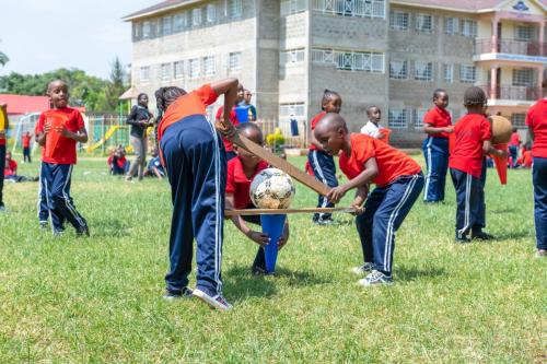 St Mary's Sportsview